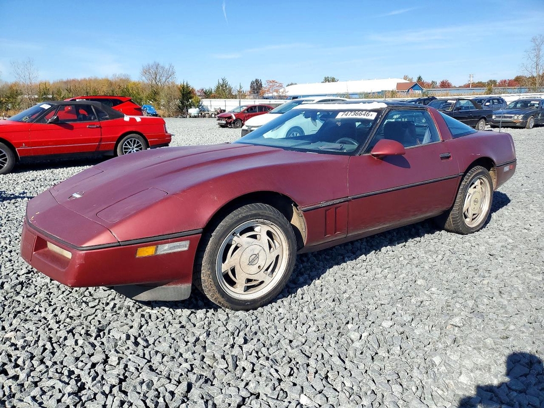 Вид 1989 CHEVROLET CORVETTE, угол 1