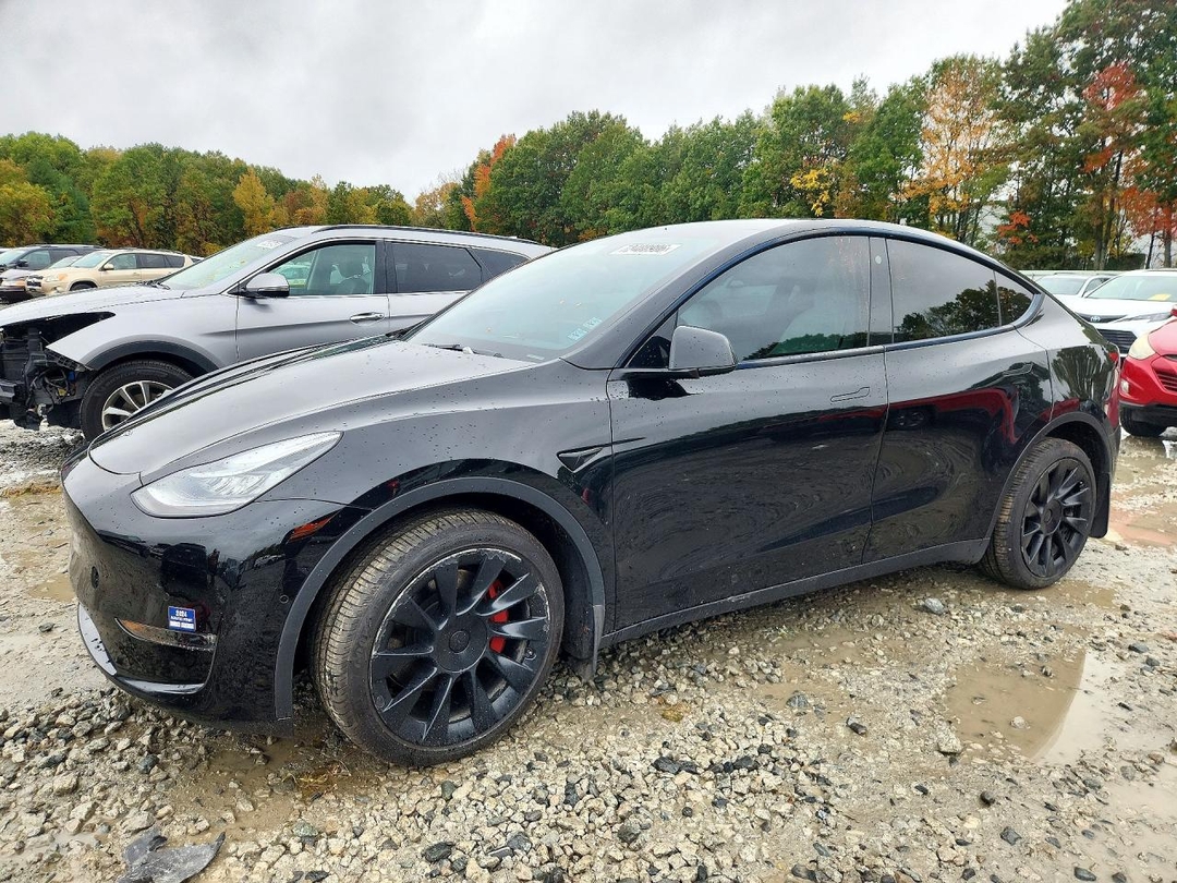 منظر 2021 TESLA MODEL Y، زاوية 1