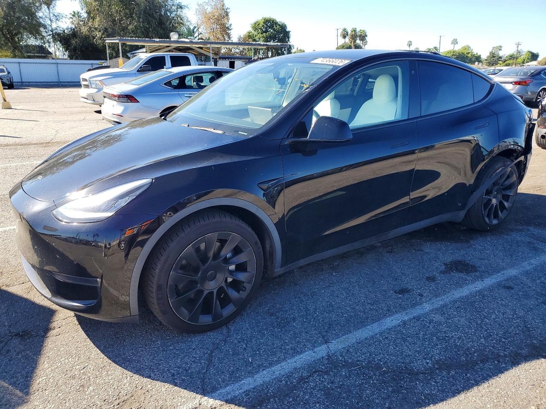 Вид 2020 TESLA MODEL Y, угол 1