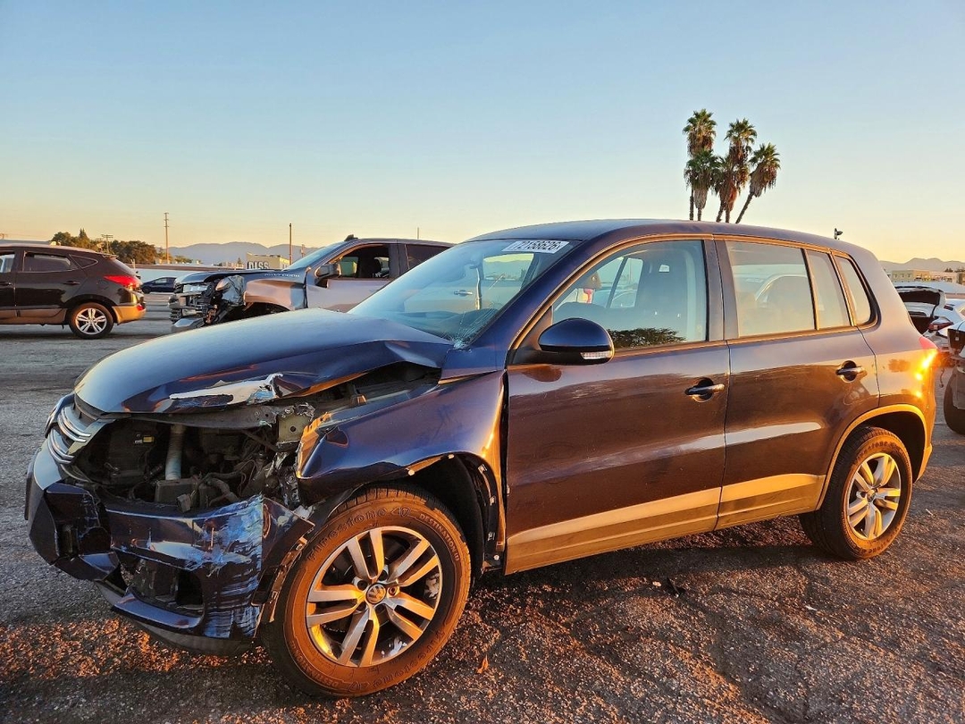 Вид 2013 VOLKSWAGEN TIGUAN S, угол 1