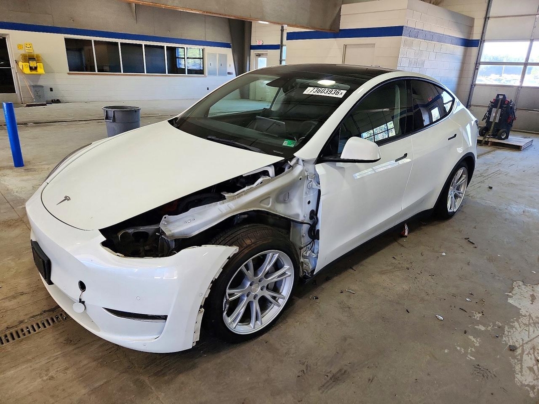 منظر 2022 TESLA MODEL Y، زاوية 1