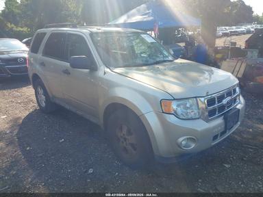 Вид 2010 Ford Escape Xlt, угол 1