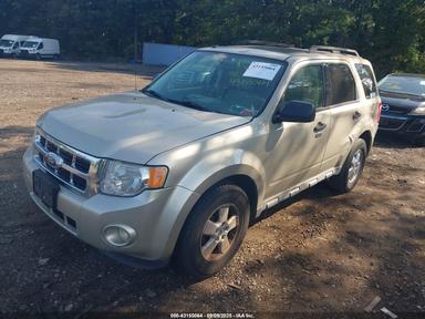 Вид 2010 Ford Escape Xlt, угол 2