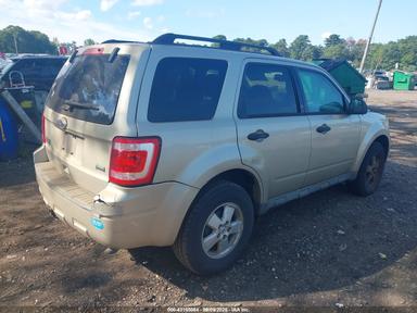 Вид 2010 Ford Escape Xlt, угол 4