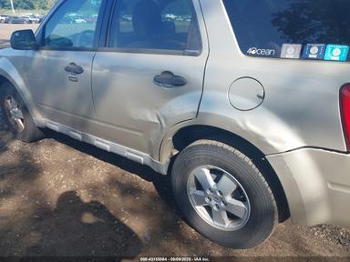 Вид 2010 Ford Escape Xlt, угол 6