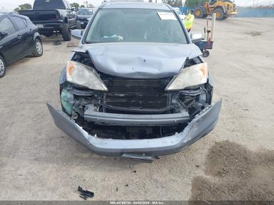 2010 Honda Cr-V Ex-L view, angle 6