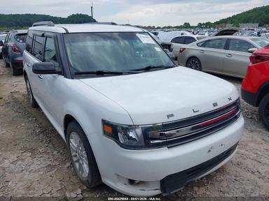 Vedere 2019 Ford Flex Sel, unghi 1