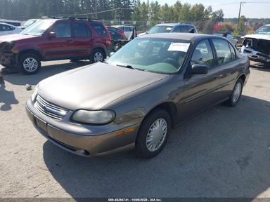 Vue de 2001 Chevrolet Malibu, angle 2