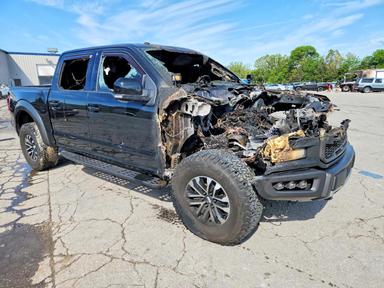Vista de 2017 FORD F150 RAPTOR, ángulo 4