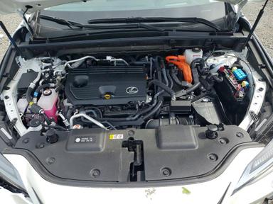 Вид 2025 LEXUS NX 450H+ BASE, угол 12