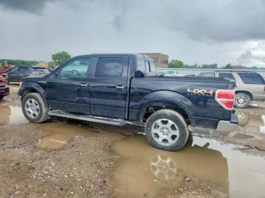 منظر 2012 FORD F150 SUPERCREW، زاوية 2