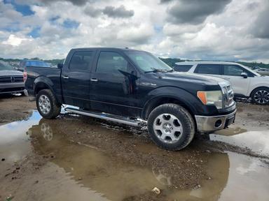 منظر 2012 FORD F150 SUPERCREW، زاوية 4