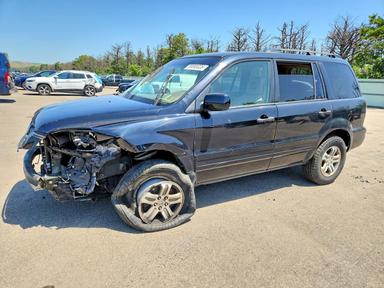 منظر 2004 HONDA PILOT EXL، زاوية 1