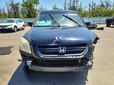 منظر 2004 HONDA PILOT EXL، زاوية 5