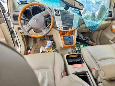 2005 LEXUS RX 330 view, angle 8