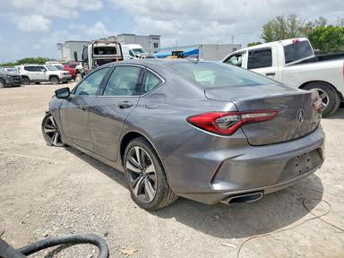 Вид 2024 ACURA TLX TECHNOLOGY, угол 2
