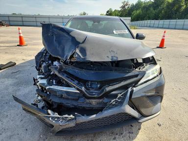 Вид 2019 TOYOTA CAMRY SE, угол 5
