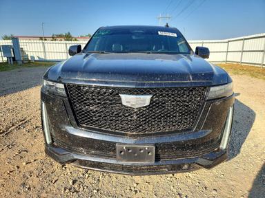 Вид 2023 CADILLAC ESCALADE ESV SPORT PLATINUM, угол 5