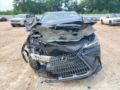 Vista de 2025 LEXUS NX 350 BASE, ángulo 5