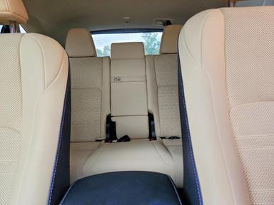 Vue de 2021 LEXUS NX300, angle 10