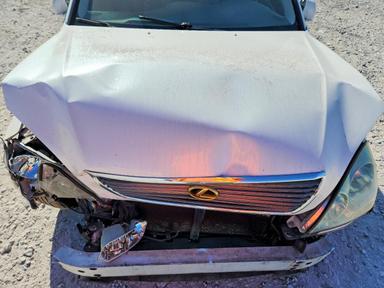2003 LEXUS LS 430 view, angle 11