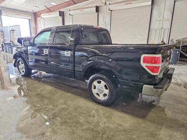 Vista de 2009 FORD F150 SUPERCREW, ángulo 2