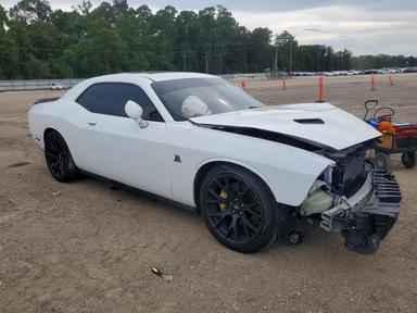 Vista de 2018 DODGE CHALLENGER R/T 392, ángulo 4