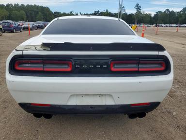 Vista de 2018 DODGE CHALLENGER R/T 392, ángulo 6