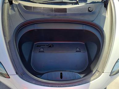 منظر 2019 TESLA MODEL 3، زاوية 11