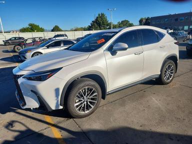2022 LEXUS NX 350 view, angle 1