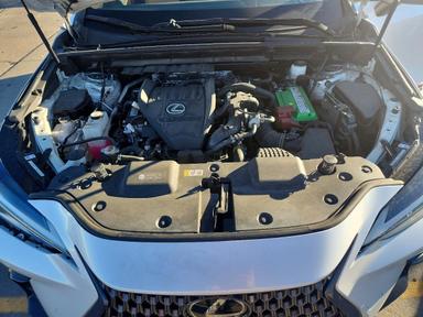 2022 LEXUS NX 350 view, angle 12