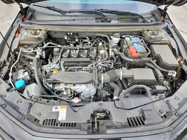 Вид 2025 HONDA ACCORD LX, угол 11