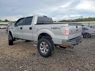 منظر 2009 FORD F150 SUPERCREW، زاوية 2
