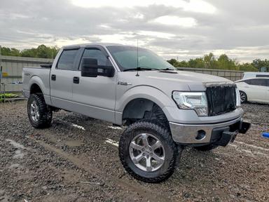 منظر 2009 FORD F150 SUPERCREW، زاوية 4