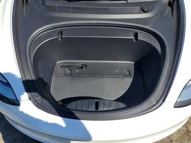 Вид 2020 TESLA MODEL 3, угол 11