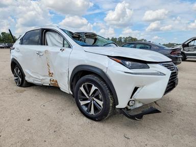 منظر 2020 LEXUS NX 300، زاوية 4