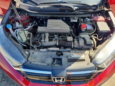 Вид 2020 HONDA CR-V LX, угол 12