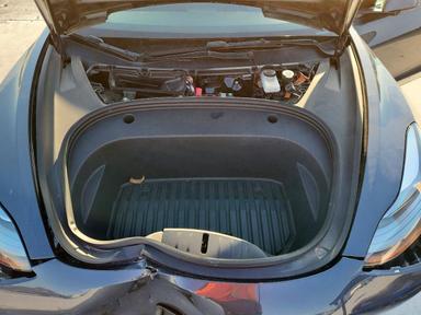 منظر 2022 TESLA MODEL 3، زاوية 11