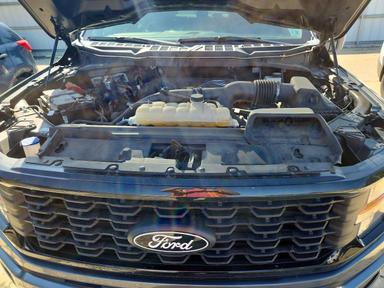 Vedere 2024 FORD F150 STX, unghi 11