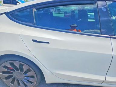 Vista de 2021 TESLA MODEL 3, ángulo 10