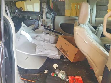 Вид 2021 CHRYSLER PACIFICA TOURING L, угол 11