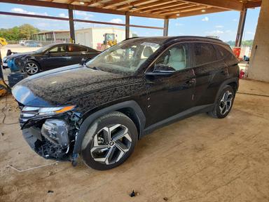 Вид 2023 HYUNDAI TUCSON SEL, угол 1