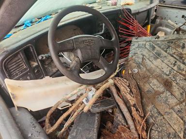 Vue de 2005 CHEVROLET SILVERADO K2500 HEAVY DUTY, angle 8