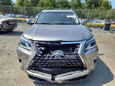 Вид 2022 LEXUS GX 460, угол 5