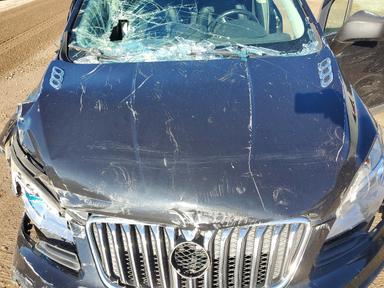 منظر 2013 BUICK ENCORE CONVENIENCE، زاوية 12