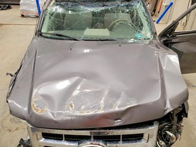 2010 FORD ESCAPE XLT view, angle 12