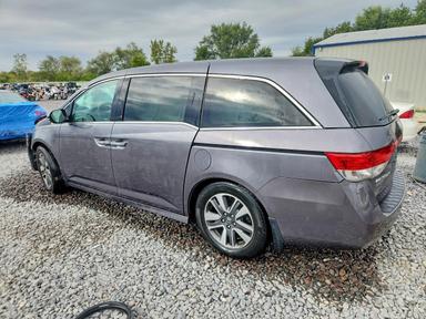 Вид 2015 HONDA ODYSSEY TOURING, угол 2