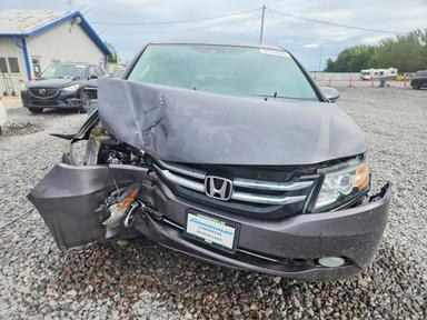 Вид 2015 HONDA ODYSSEY TOURING, угол 5