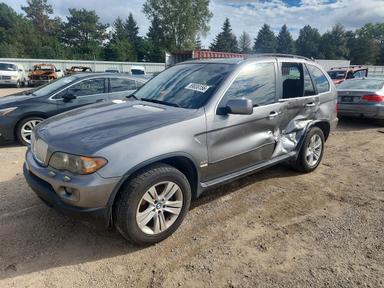Vista de 2006 BMW X5 4.4I, ángulo 1