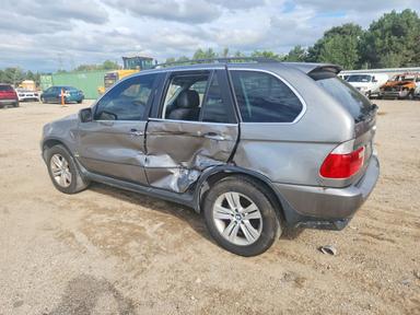 Vista de 2006 BMW X5 4.4I, ángulo 2